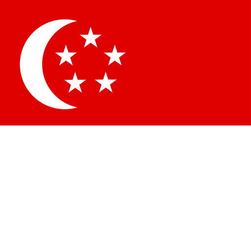 {locationLogo=/img/flags/sg.png, locationName=Singapore, locationCode=SG, operatorList=[Ljava.lang.Object;@298890fd}